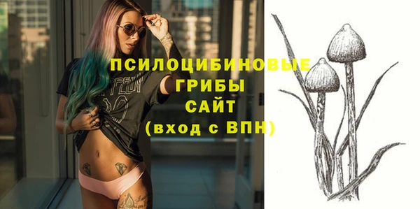 бошки Алексеевка