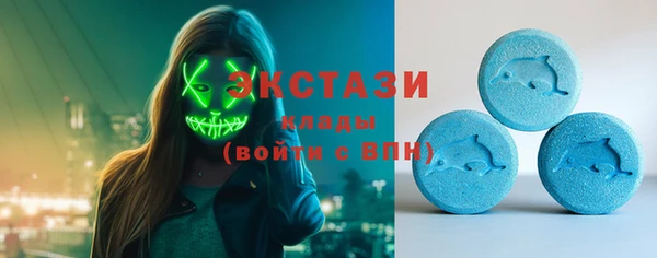 винт Губаха
