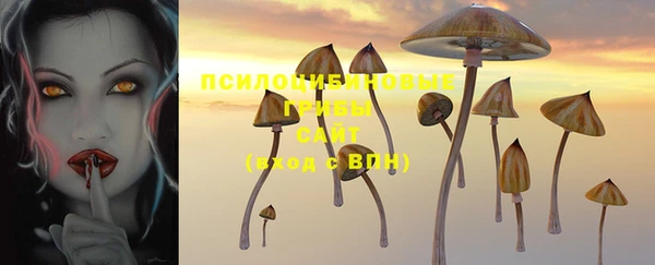бошки Алексеевка