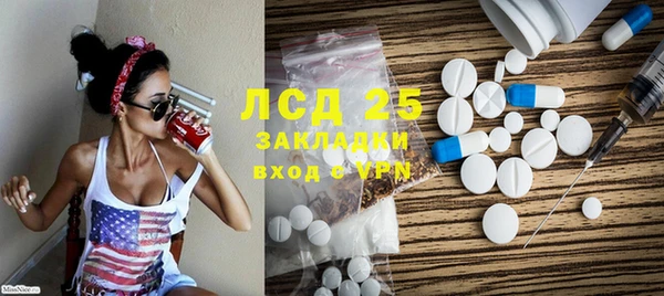 индика Алексин