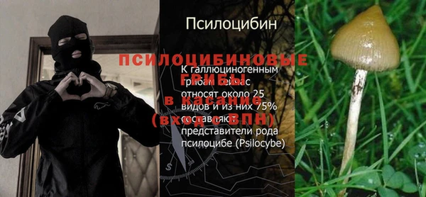 jwh Алзамай