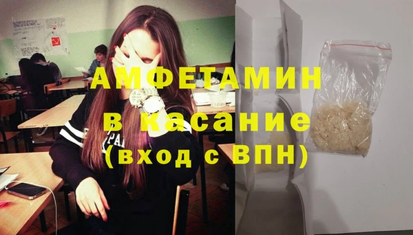 индика Алексин