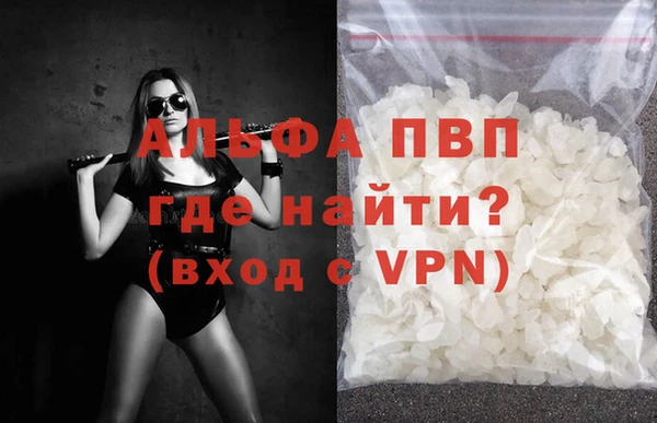 индика Алексин
